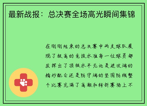 最新战报：总决赛全场高光瞬间集锦