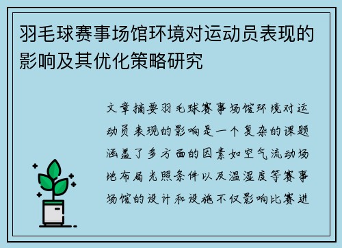 羽毛球赛事场馆环境对运动员表现的影响及其优化策略研究